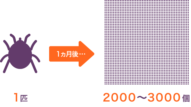 1ヶ月後のマダニの増加